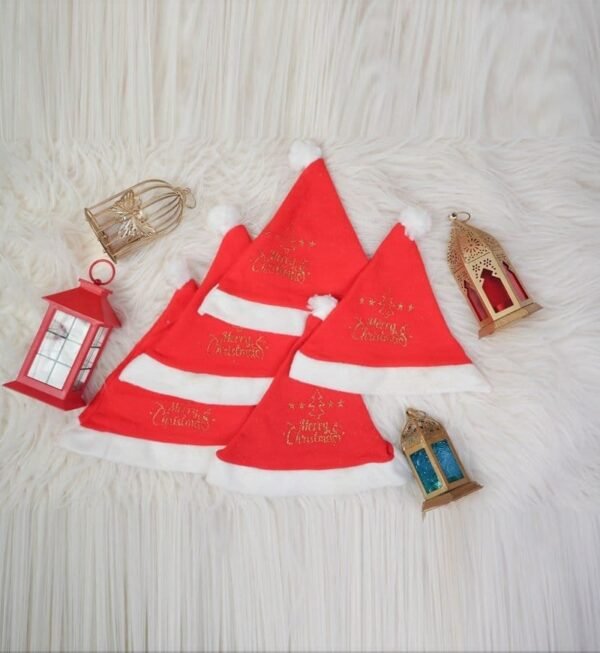Christmas Santa Cap (5 Pcs Set)